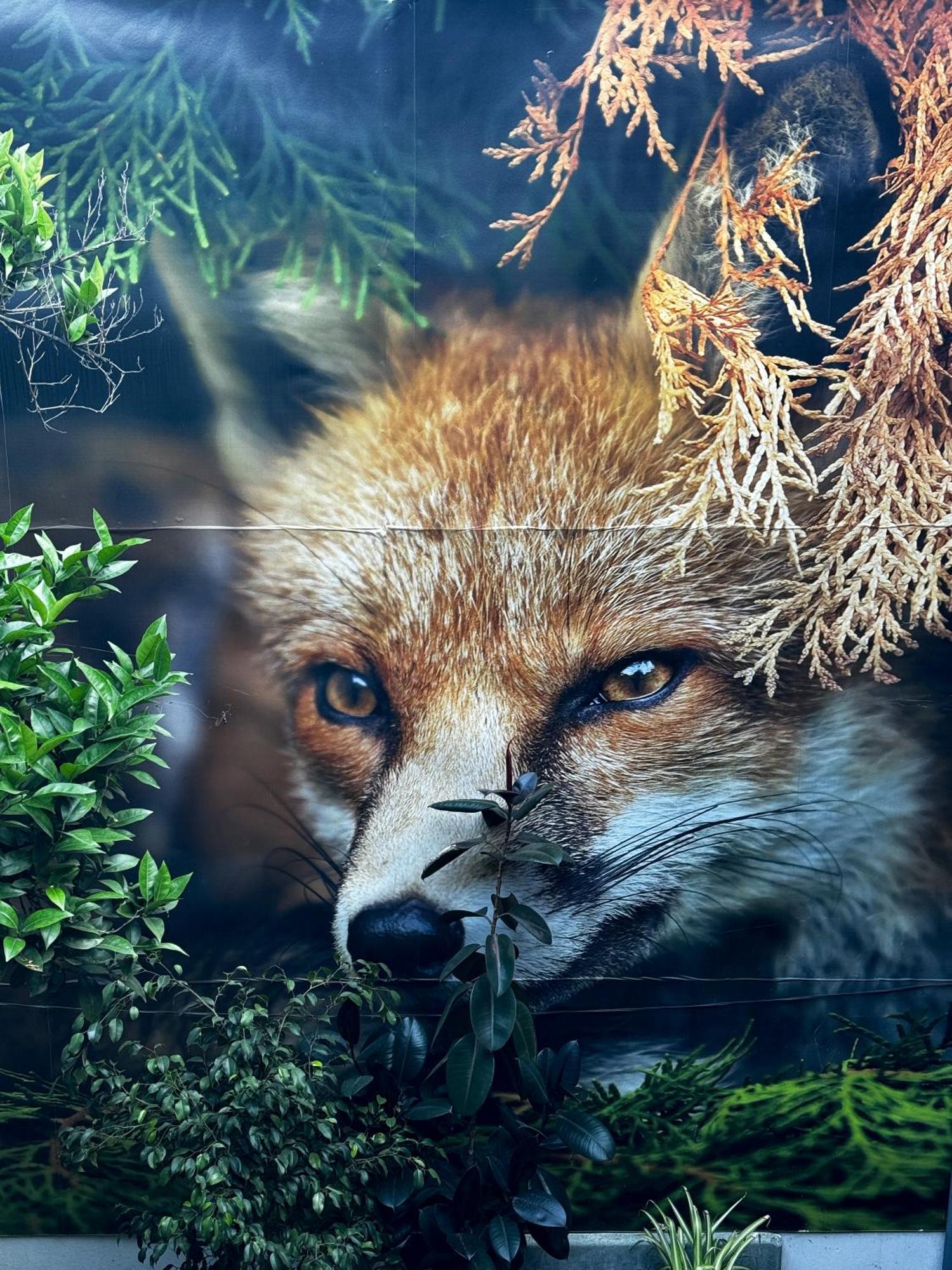 סנטיאגו The Fox Hostel מראה חיצוני תמונה