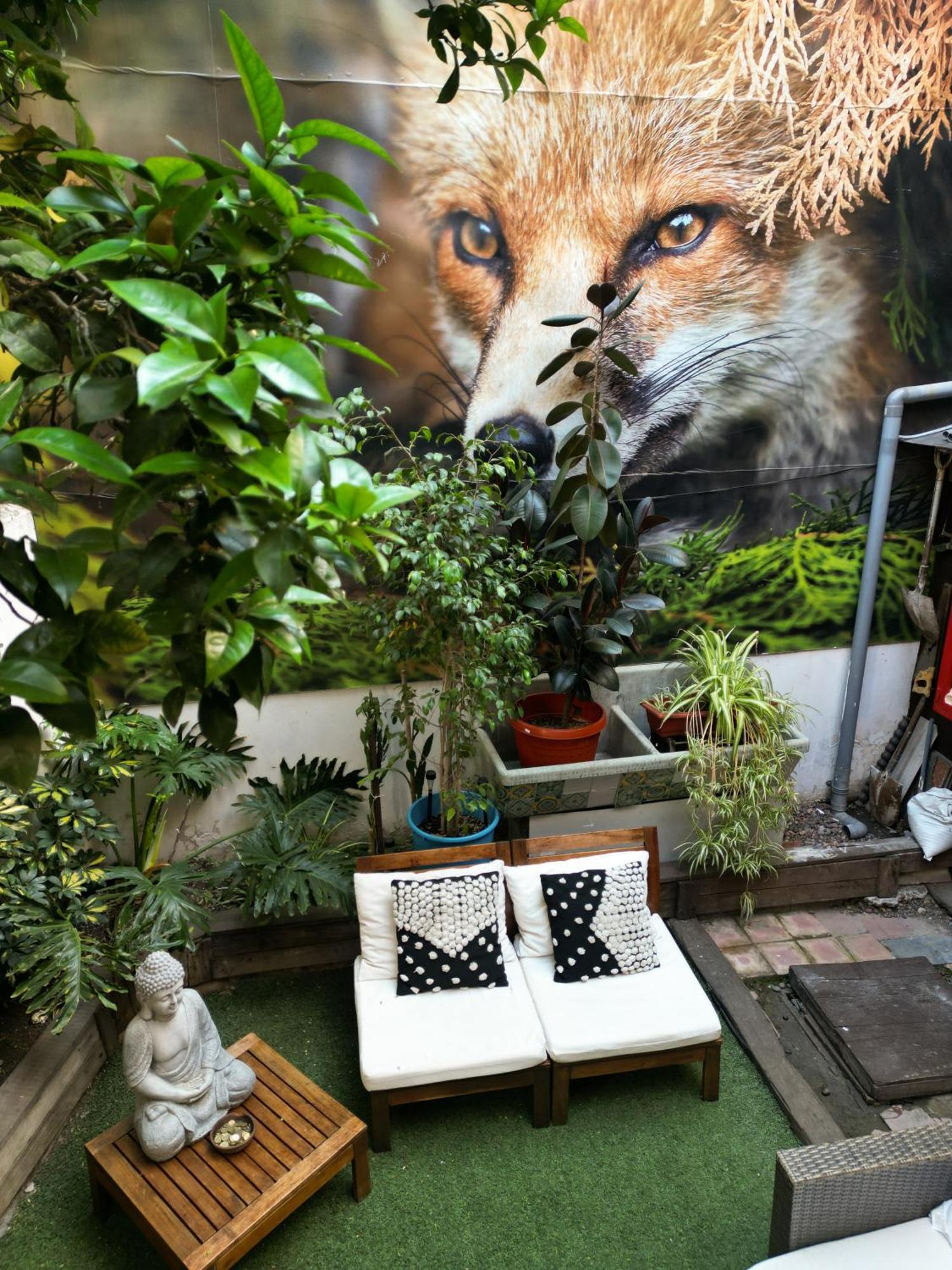 סנטיאגו The Fox Hostel מראה חיצוני תמונה